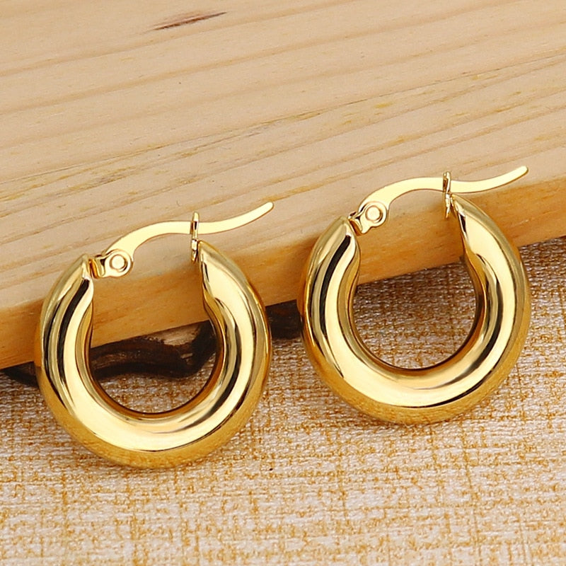 Steel Gold Hoop Fashion Earring Jewelry for Women